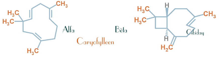 Beta Caryofylleen Structuurformule